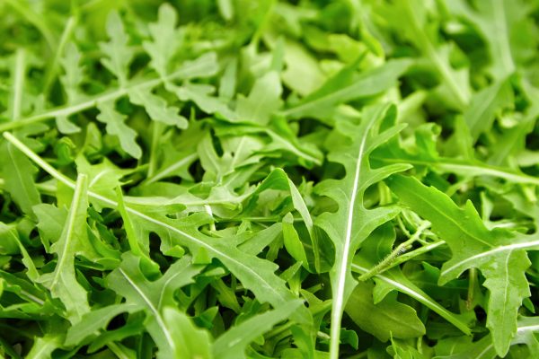 Fresh,Organic,Arugula,Or,Ruccola,Leaves,Texture,,Healthy,And,Vegan